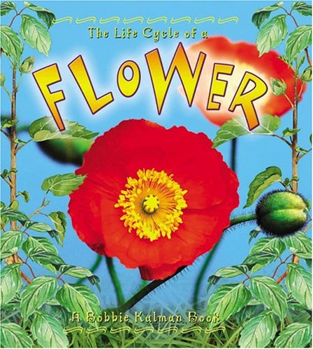Flower (Life Cycle of A...) by Molly Aloian