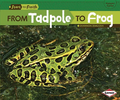 From Tadpole to Frog (Start to Finish, Second)