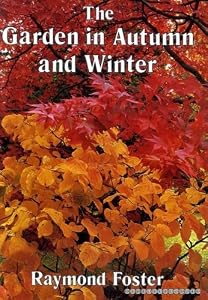 The garden in autumn and winter