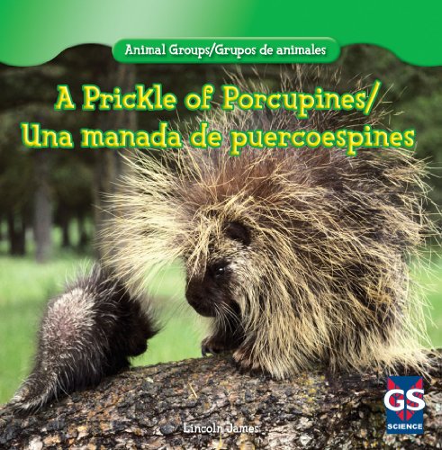 A Prickle of Porcupines/Una Manada de Puercoespines (Animal Groups/Grupos de Animales) by Eduardo Alaman