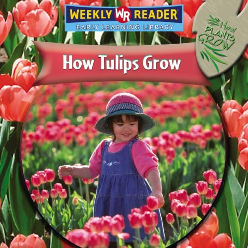 How Tulips Grow (How Plants Grow) by Joanne Mattern