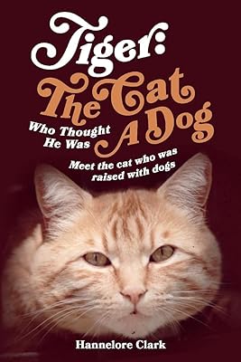 Tiger: The Cat Who Thought He was a Dog: Meet the cat who was raised with dogs