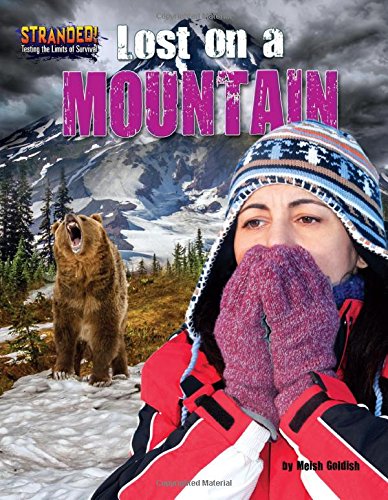 Lost on a Mountain by Meish Goldish