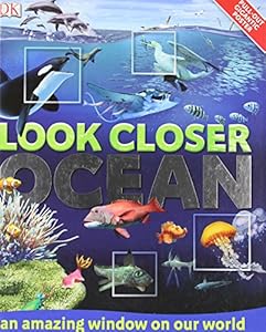 Look Closer: Ocean