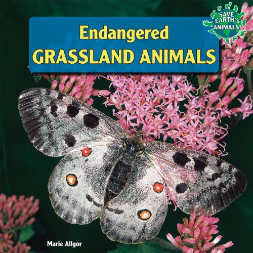 Endangered Grassland Animals by Marie Allgor