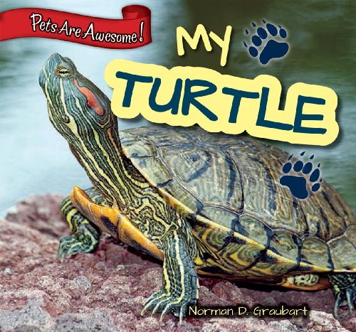 My Turtle by Norman D Graubart
