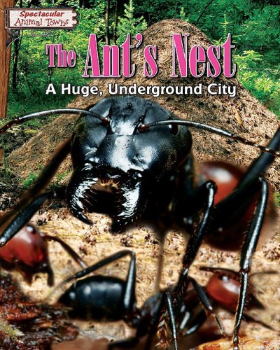 The Ant's Nest: A Huge, Underground City by Miriam Aronin