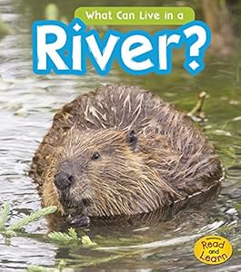 What Can Live in the River?