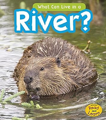 What Can Live in the River?