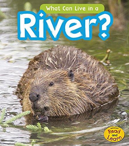 What Can Live in the River? by John-Paul Wilkins