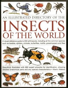 An Illustrated Directory of the Insects of the World: A visual reference guide to 650 arthropods, including all the common insect species such as ... illustrated with 680 expert artworks