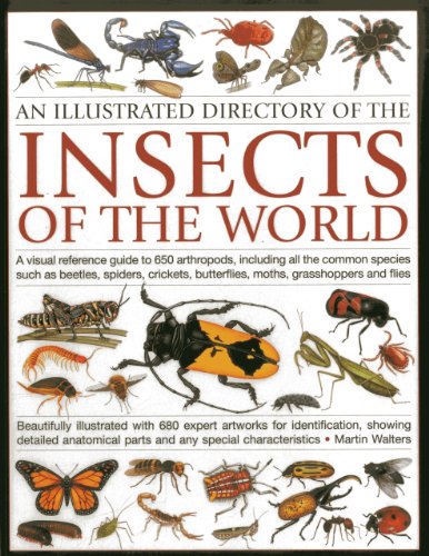 An Illustrated Directory of the Insects of the World: A visual reference guide to 650 arthropods, including all the common insect species such as ... illustrated with 680 expert artworks by Martin Walters