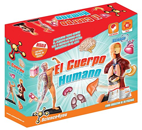 El Cuerpo Humano