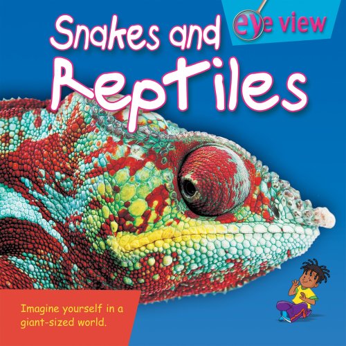 Snakes and Reptiles (Eye View) by Brian Williams