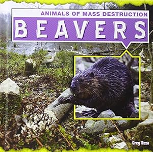 Beavers