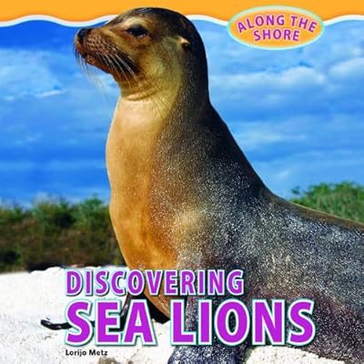 Discovering Sea Lions