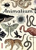 Animalium par Jenny Broom Animalium par Jenny Broom