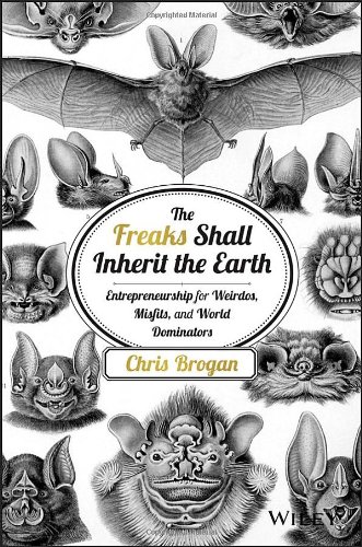The Freaks Shall Inherit the Earth: Entrepreneurship for Weirdos, Misfits, and World Dominators by Chris Brogan