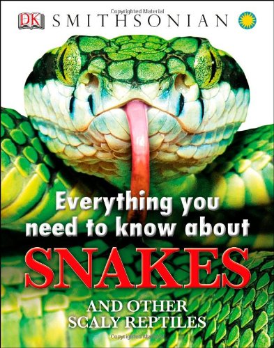 Everything You Need to Know About Snakes (Everything You Need Know)