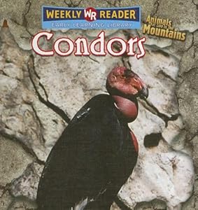 Condors