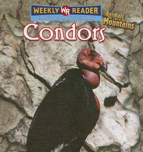 Condors by JoAnn Early Macken