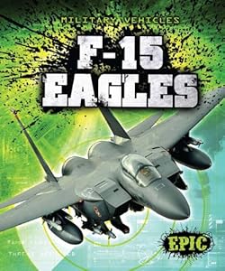 F-15 Eagles