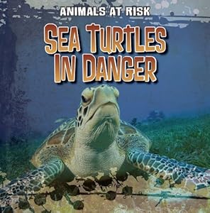 Sea turtles in danger