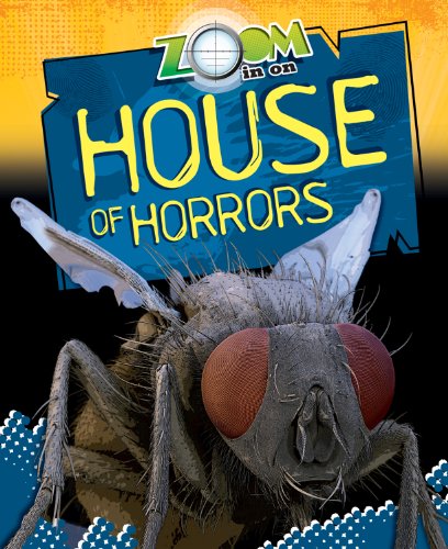Zoom in on House of Horrors by Richard Spilsbury