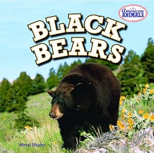 Black Bears by Meryl Magby