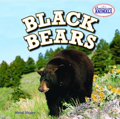 Black Bears