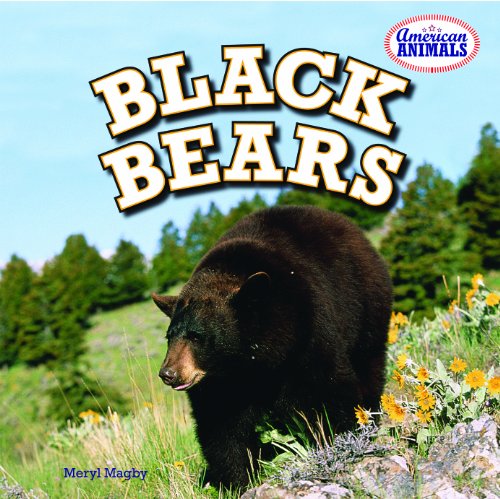 Black Bears by Meryl Magby