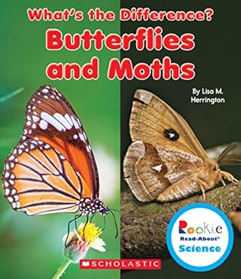 Butterflies and Moths