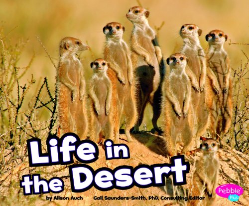 Life in the Desert by Alison Auch