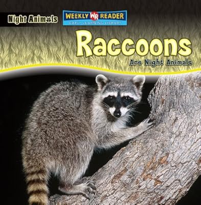 Raccoons Are Night Animals