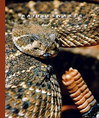 Rattlesnakes (World of Reptiles)