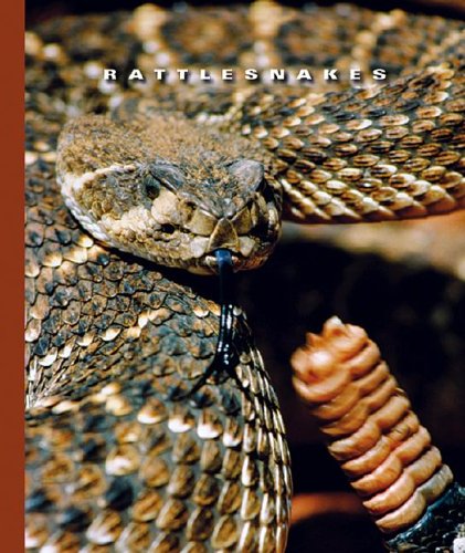 Rattlesnakes (World of Reptiles) by Sophie Lockwood