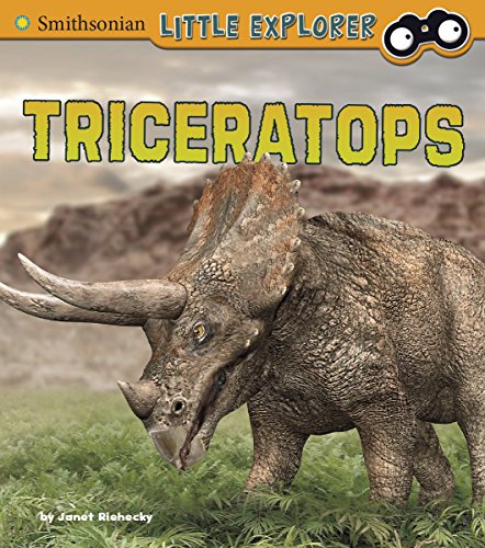 Triceratops by Janet Riehecky