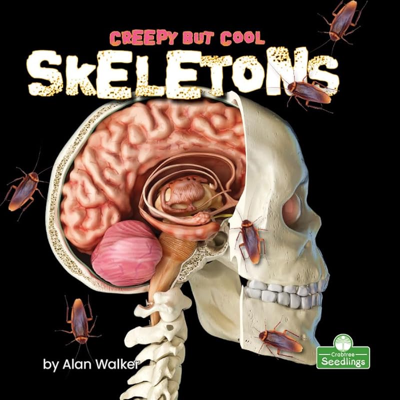 Skeletons (Creepy but Cool) by Alan Walker