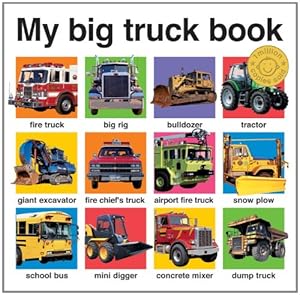 My Big Truck Book