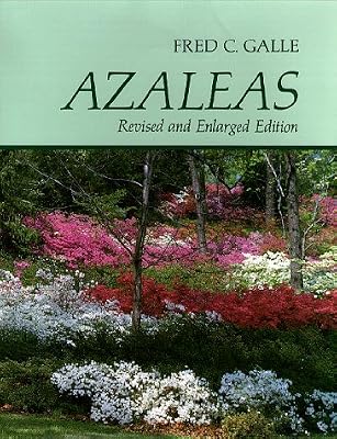 Azaleas
