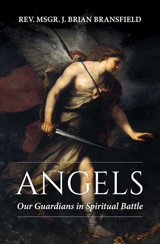Angels: Our Guardians in Spiritual Battle by Rev Msgr J Brian Bransfield