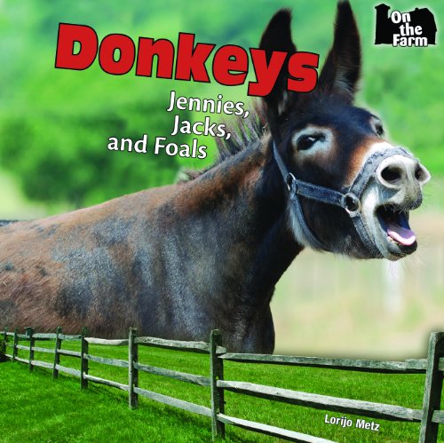 Donkeys: Jennies, Jacks, and Foals by Lorijo Metz