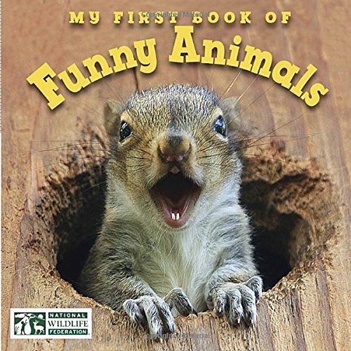 My First Book of Funny Animals by National Wildlife Federation