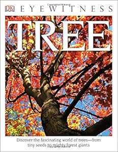 DK Eyewitness Books: Tree