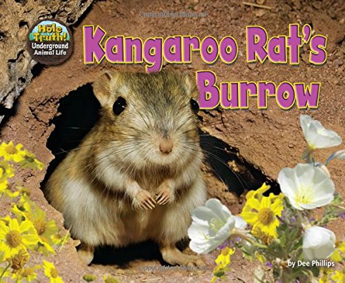 Kangaroo Rat's Burrow by Dee Phillips