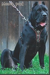 Dog Memo Pad: Wide ruled, 6 x 9, 100 Pages For Teen, Kids and Adults (Memo Pad) by Jessica King