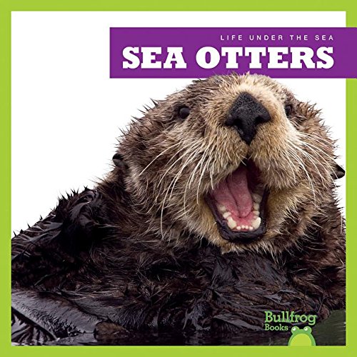 Sea Otters by Mari Schuh