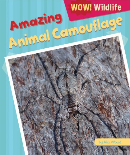 Amazing Animal Camouflage by Alix Wood