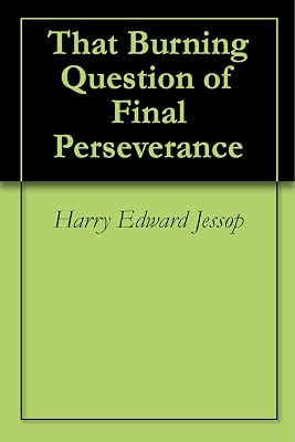That Burning Question of Final Perseverance
