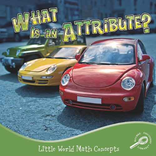 What Is an Attribute? by Nancy Kelly Allen